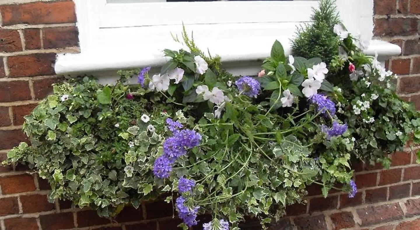 The Jessop Townhouse - Bed & Breakfast Garten