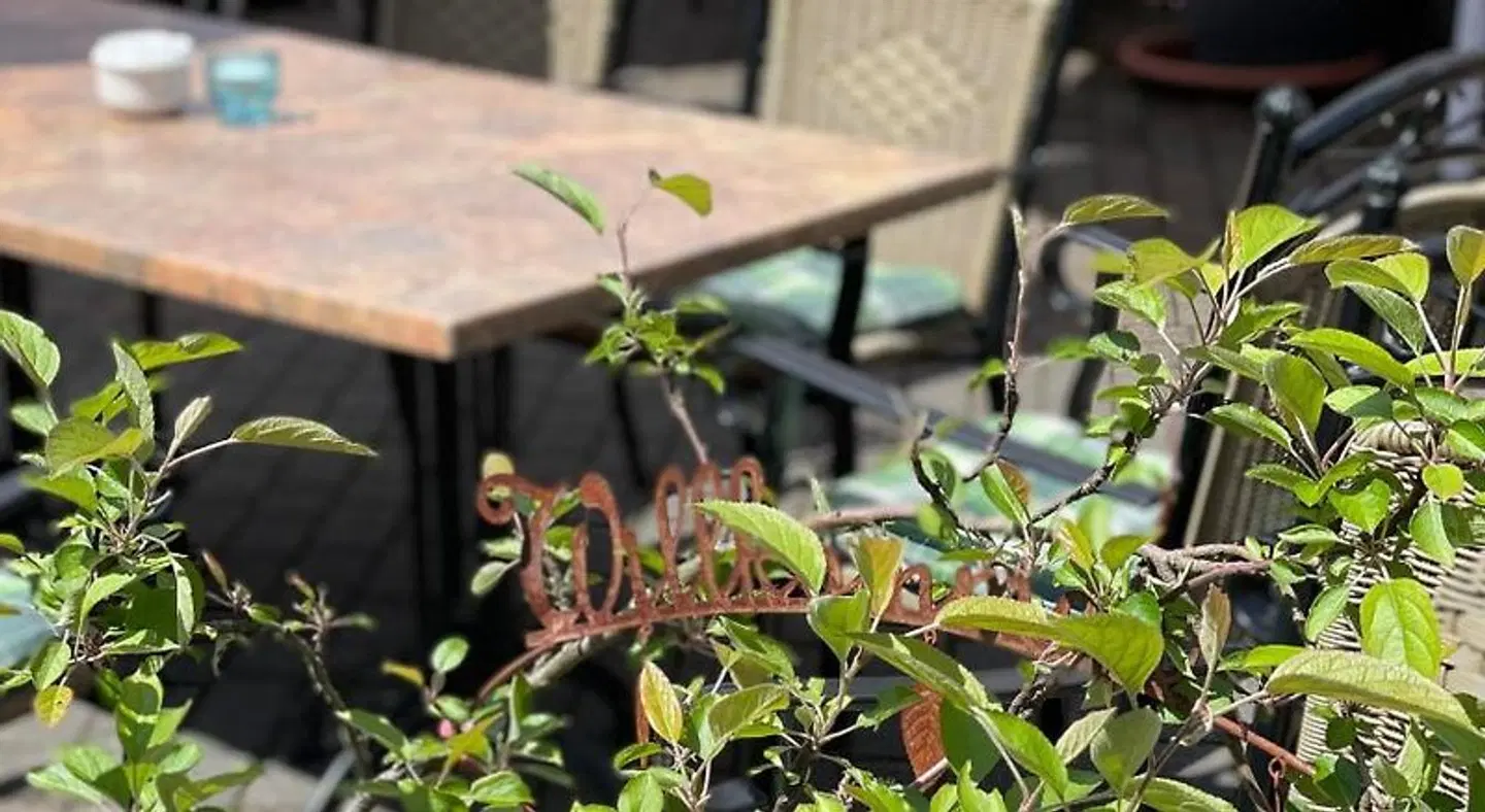 Hotel-Restaurant Zur Mühle Tiere