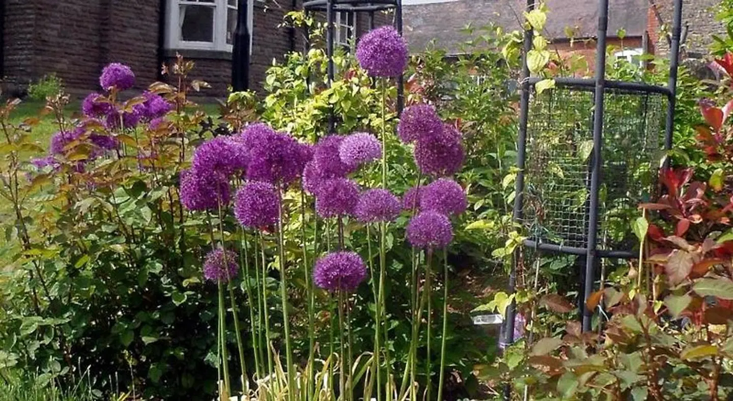 Littlebridge House Garten