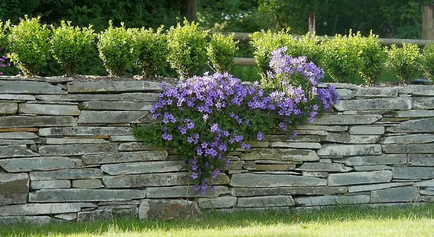 Caroe Farmhouse Garten