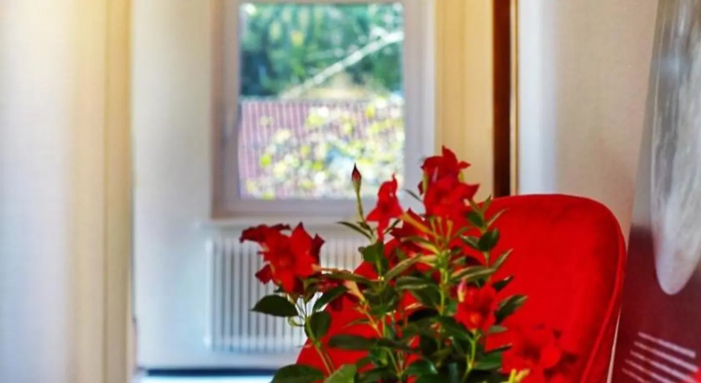 Hotel Restaurant Sonnenschein ROOM_EXAMPLE