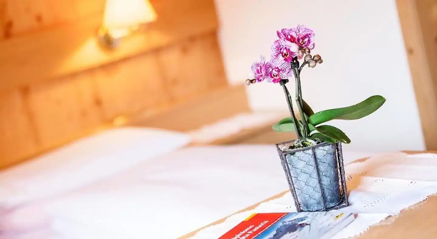 Gasthof Tuscherhof Wellness