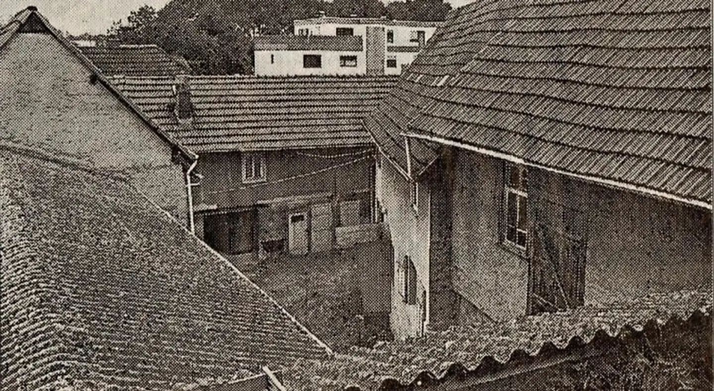 Geibelhof Tiere