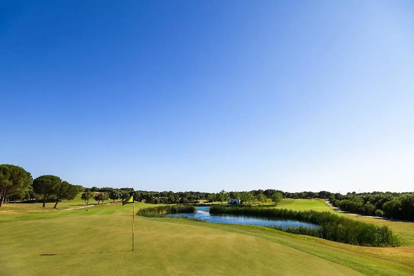 Fairplay Golf SPORTS_AND_LEISURE