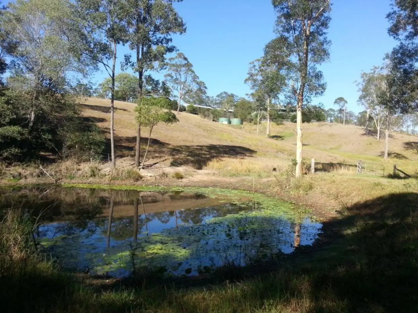 Amamoor Lodge LANDSCAPE