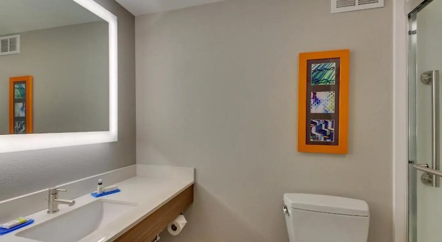 Holiday Inn Express Atlanta North Perimeter/Dunwoody by IHG Badezimmer