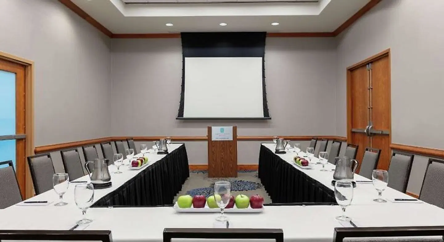 Embassy Suites by Hilton Atlanta - at Centennial Olympic Park Konferenz