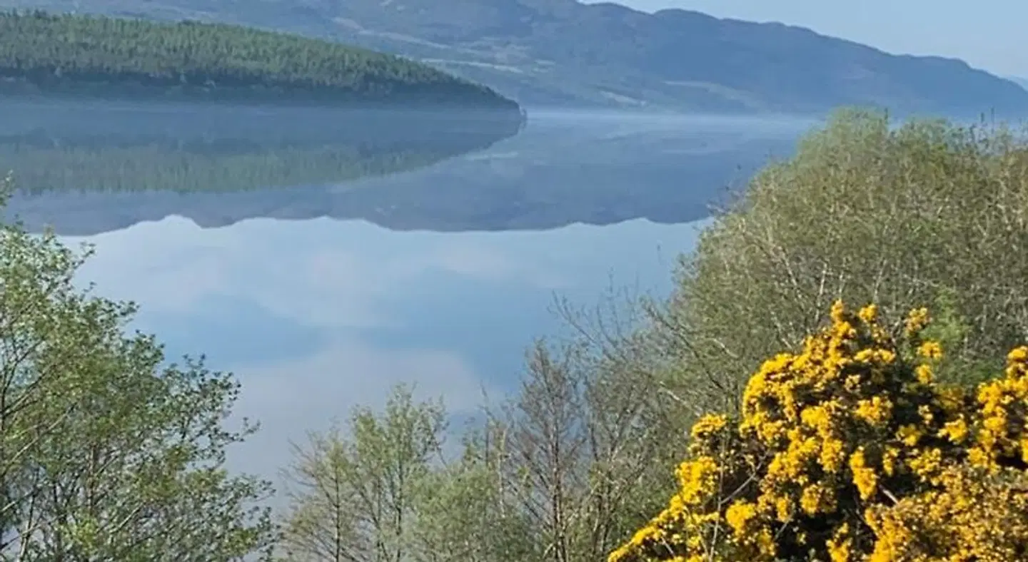 Kimcraigan B&B LANDSCAPE