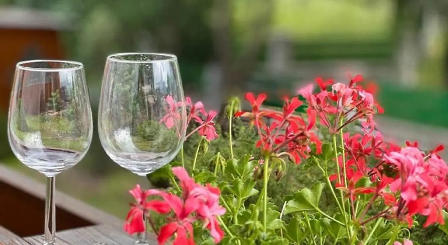 Wanzenböck LANDSCAPE