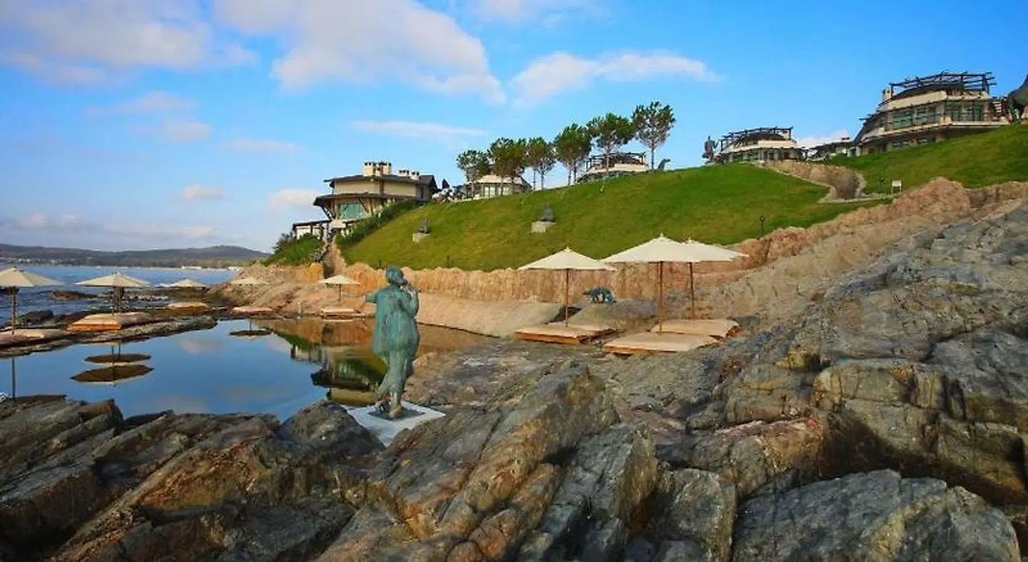 Art Complex Anel LANDSCAPE
