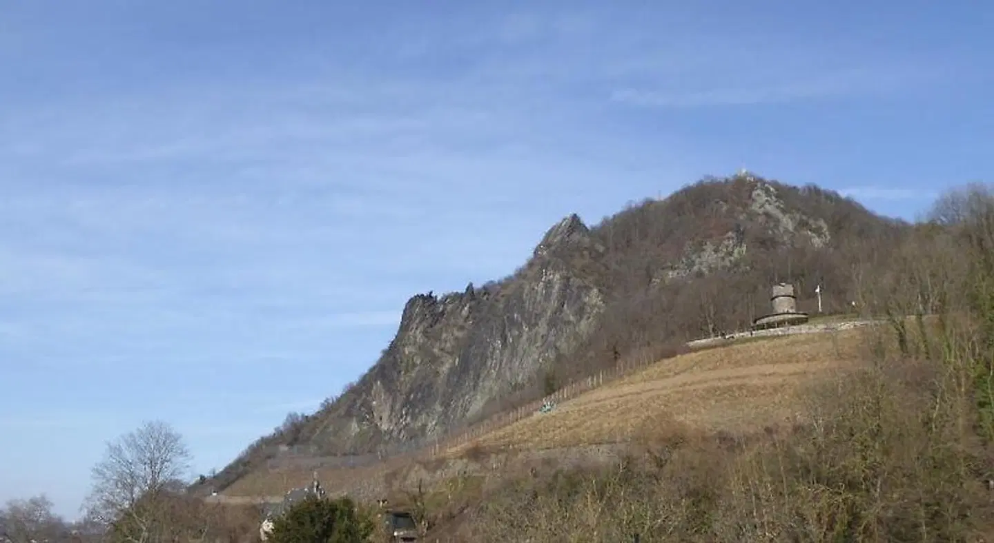 Weinhaus Hoff LANDSCAPE