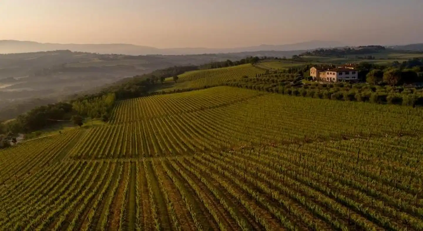 Roccafiore Spa & Resort Landschaft