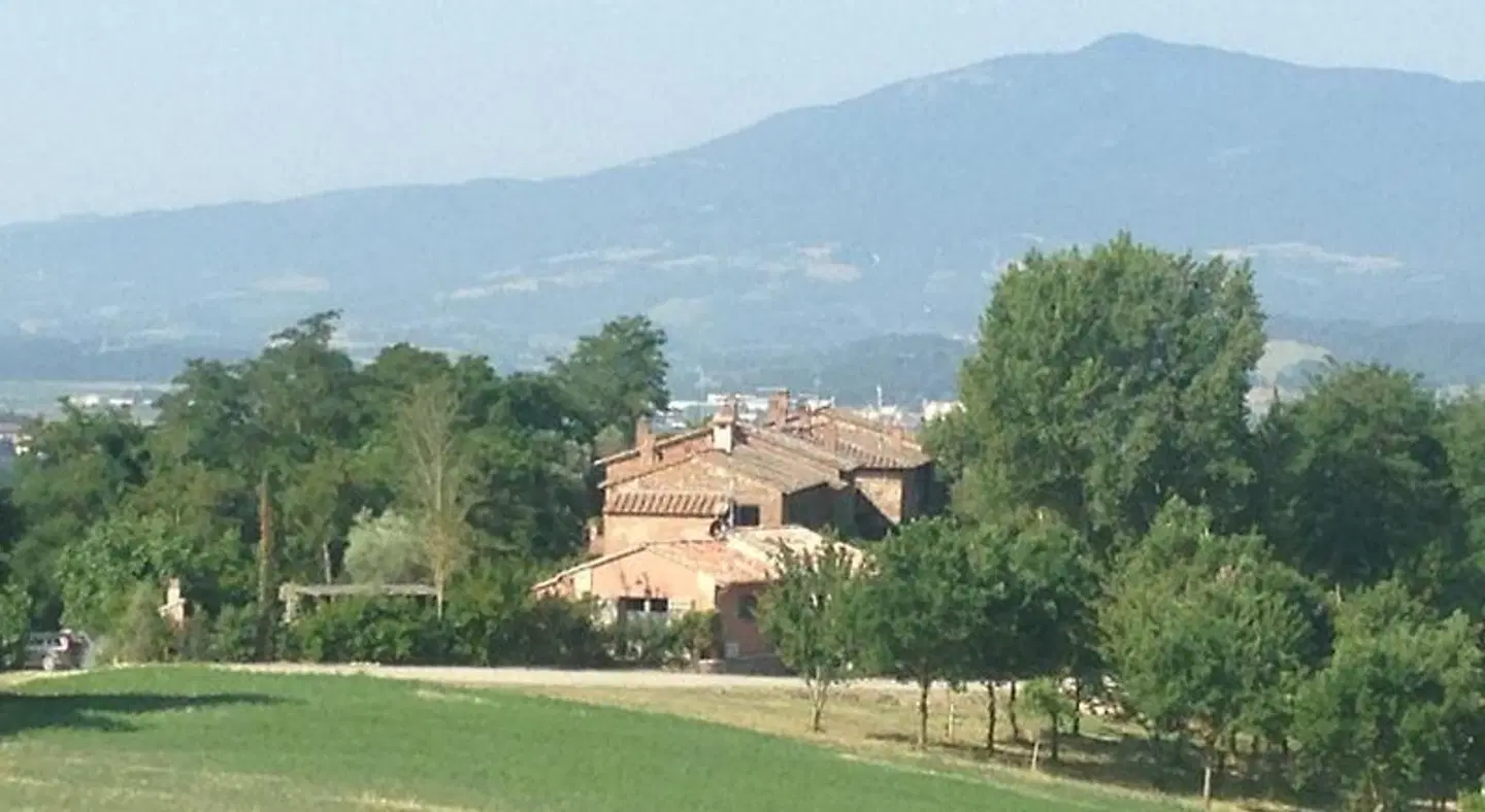 Le Palazze b&b LANDSCAPE