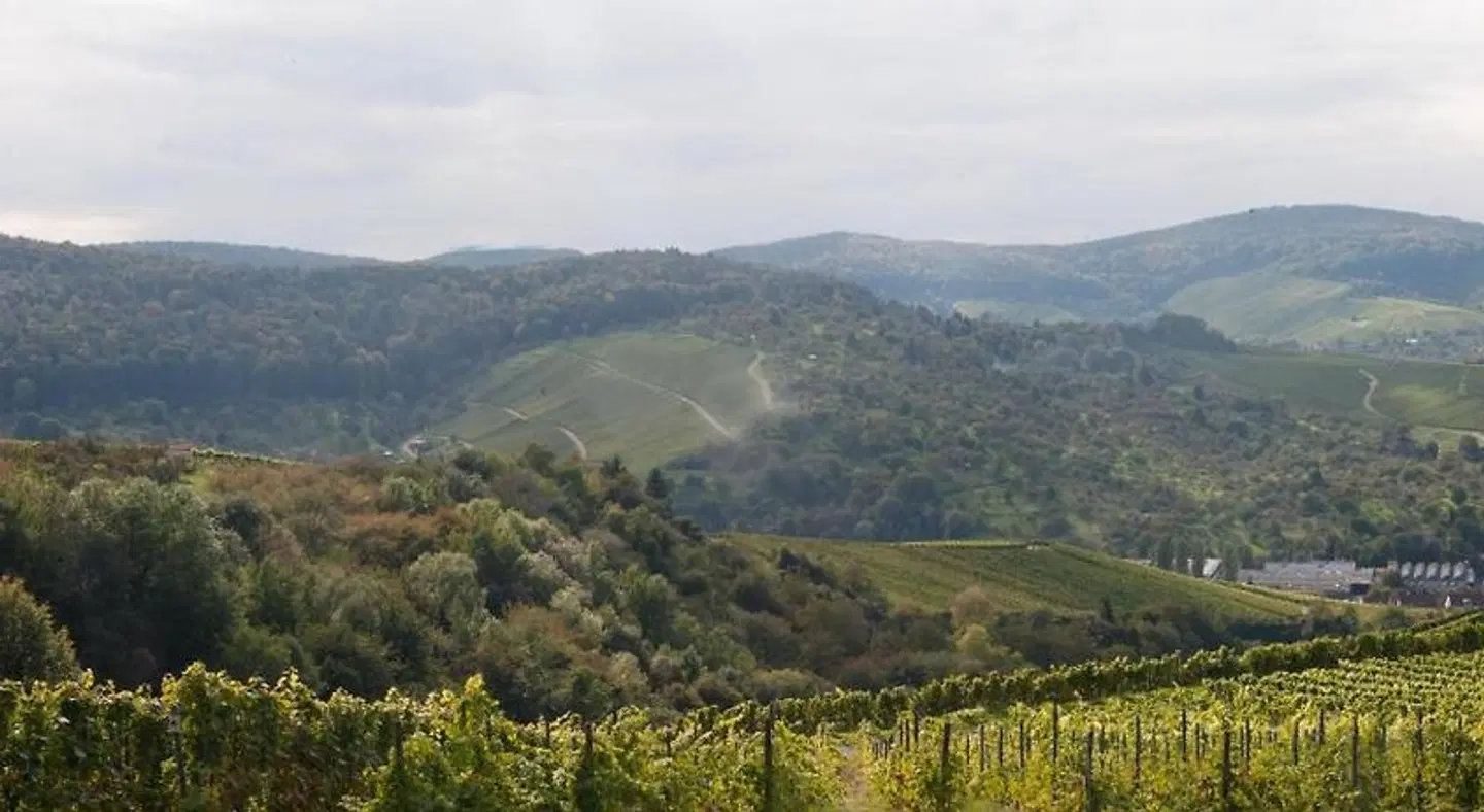 Landgut Burg LANDSCAPE