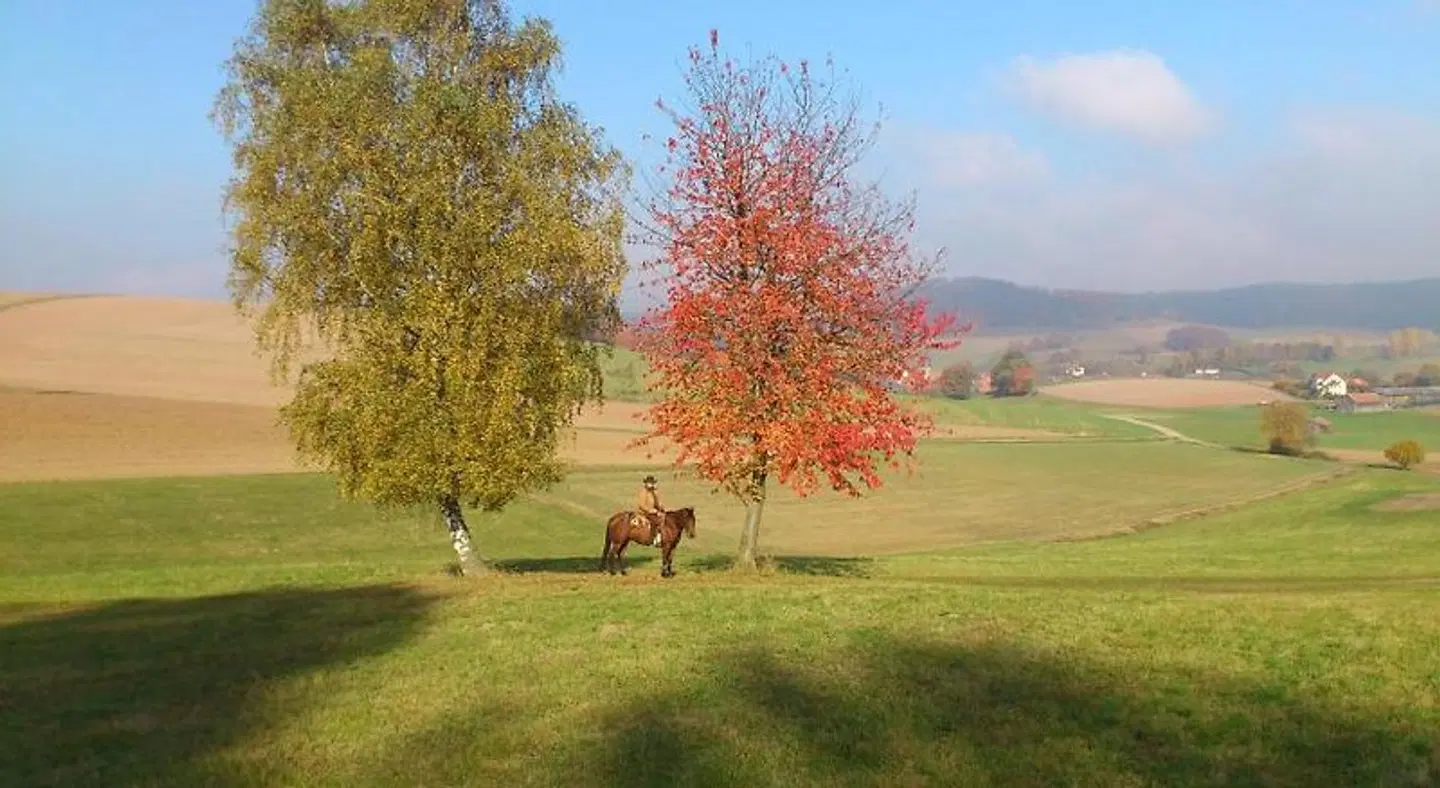 Landhotel Gutsherrn-Klause Tiere