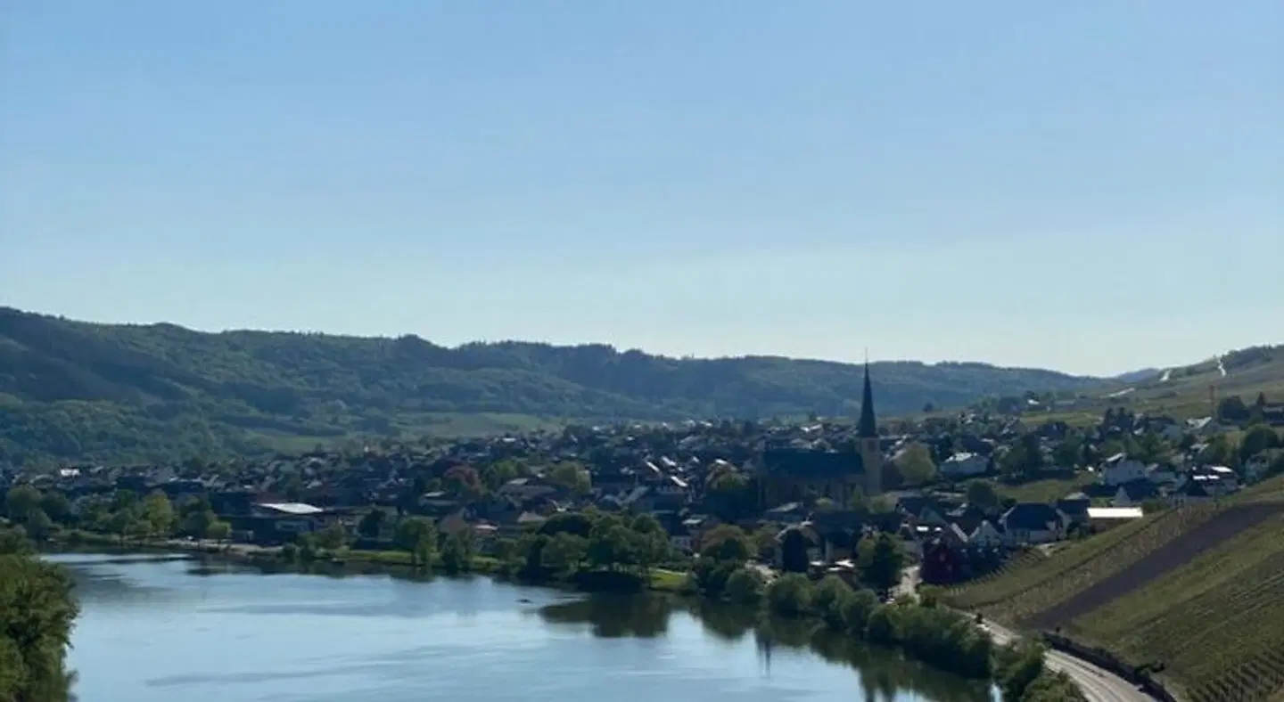 Springiersbacher Hof LANDSCAPE