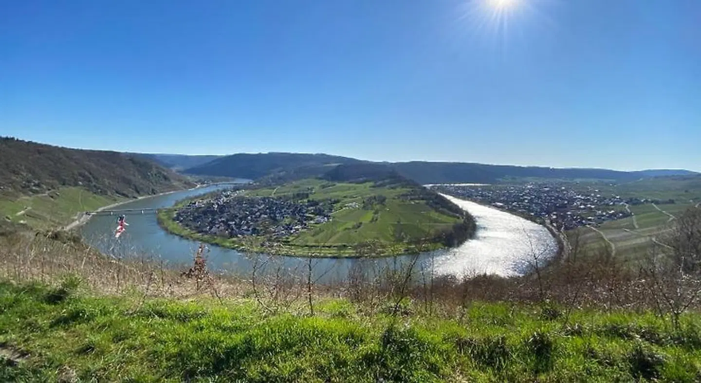 Springiersbacher Hof LANDSCAPE