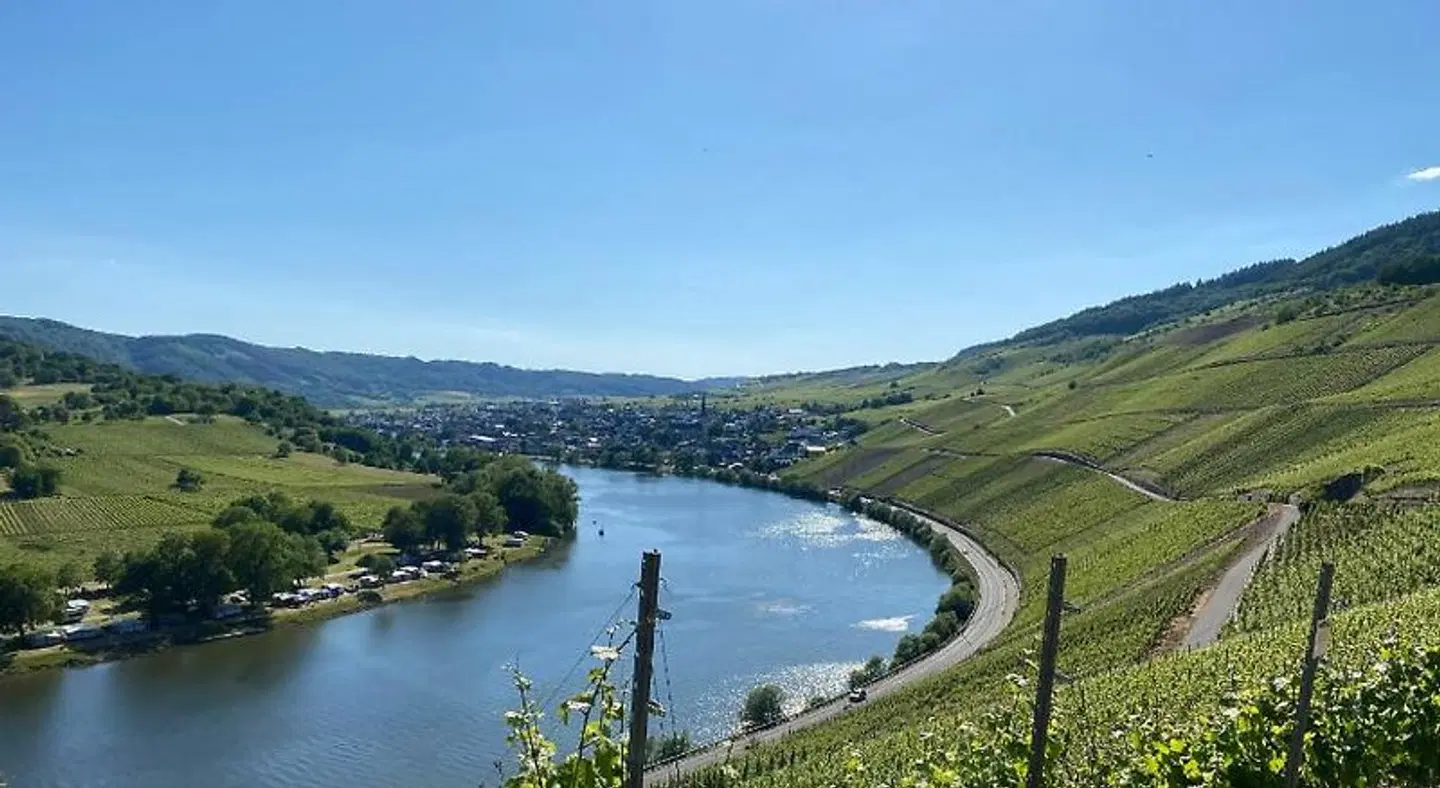 Springiersbacher Hof LANDSCAPE