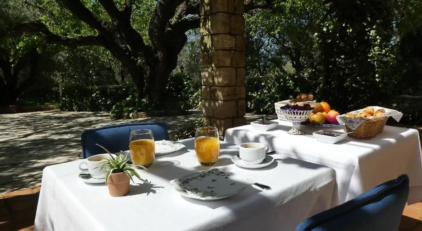 Domaine du Paradis des Oiseaux Terrasse