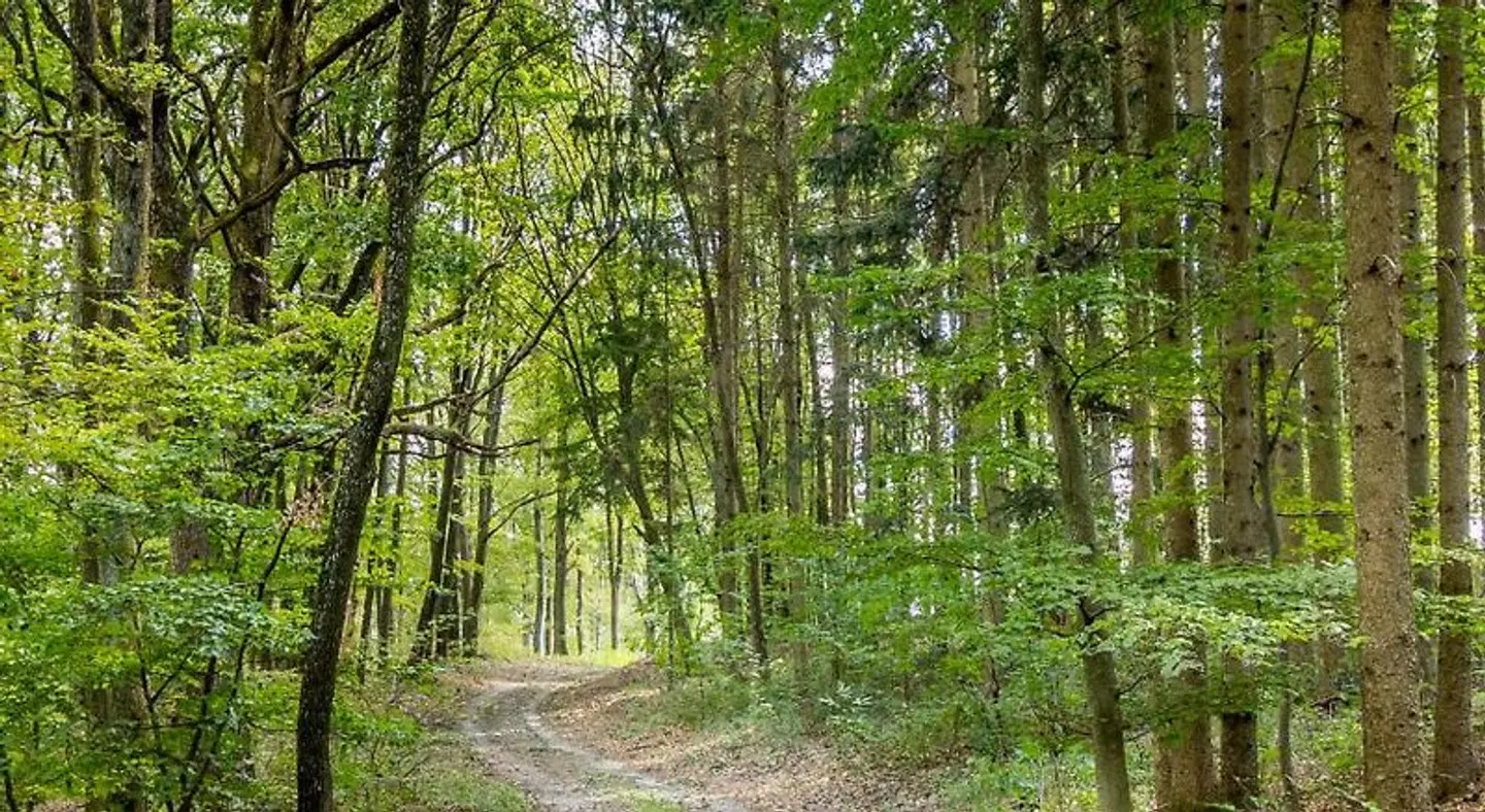 Gasthof Silberner Hirsch LANDSCAPE