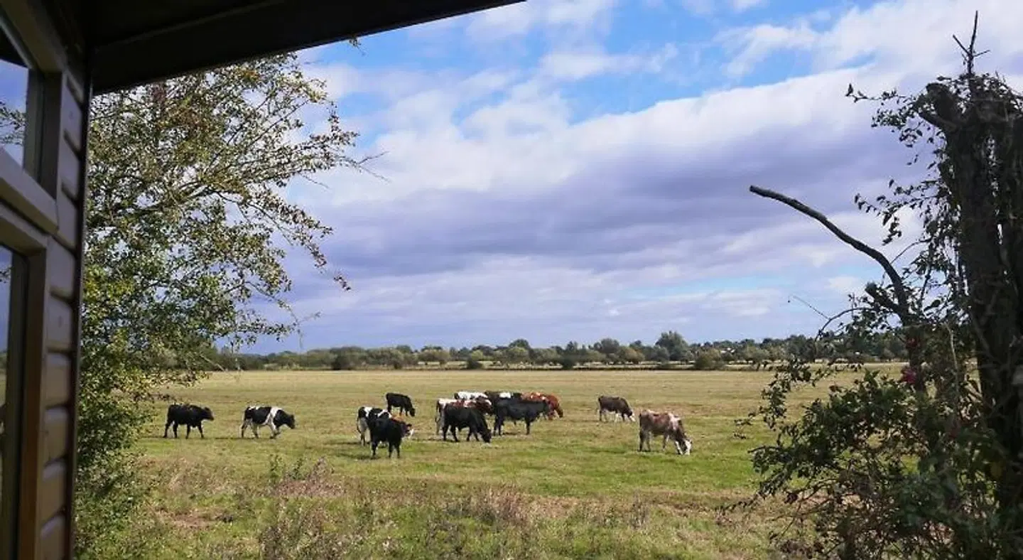 Bend in the River Lodge Tiere