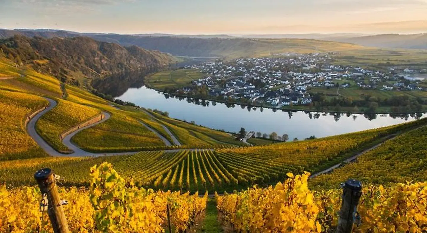 Moselloreley LANDSCAPE