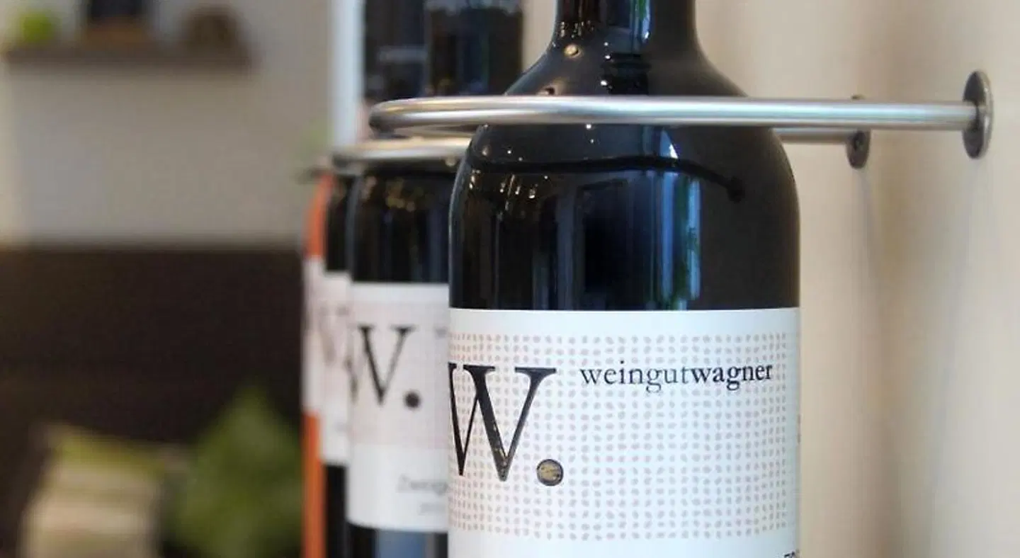 Wagner SPORTS_AND_LEISURE