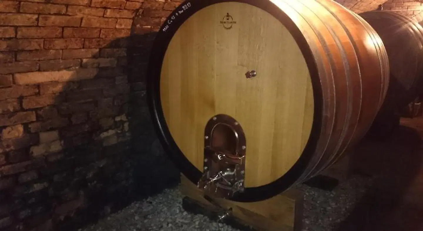 Wagner SPORTS_AND_LEISURE