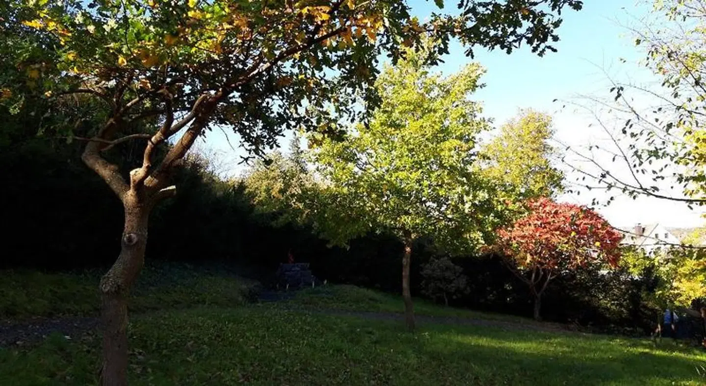 Bengel's - Zur Krone Garten