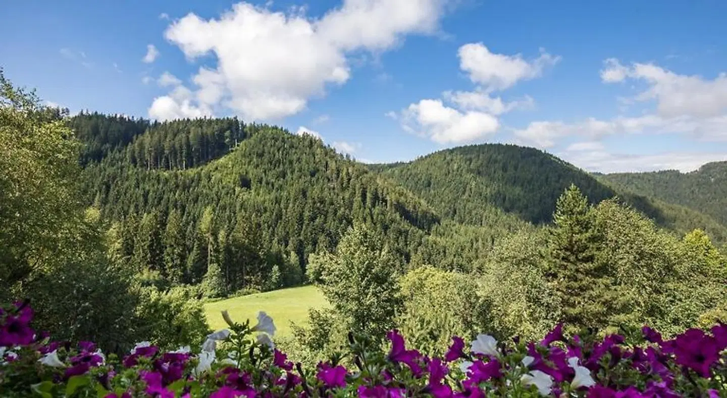 Gasthof Gasserhof LANDSCAPE
