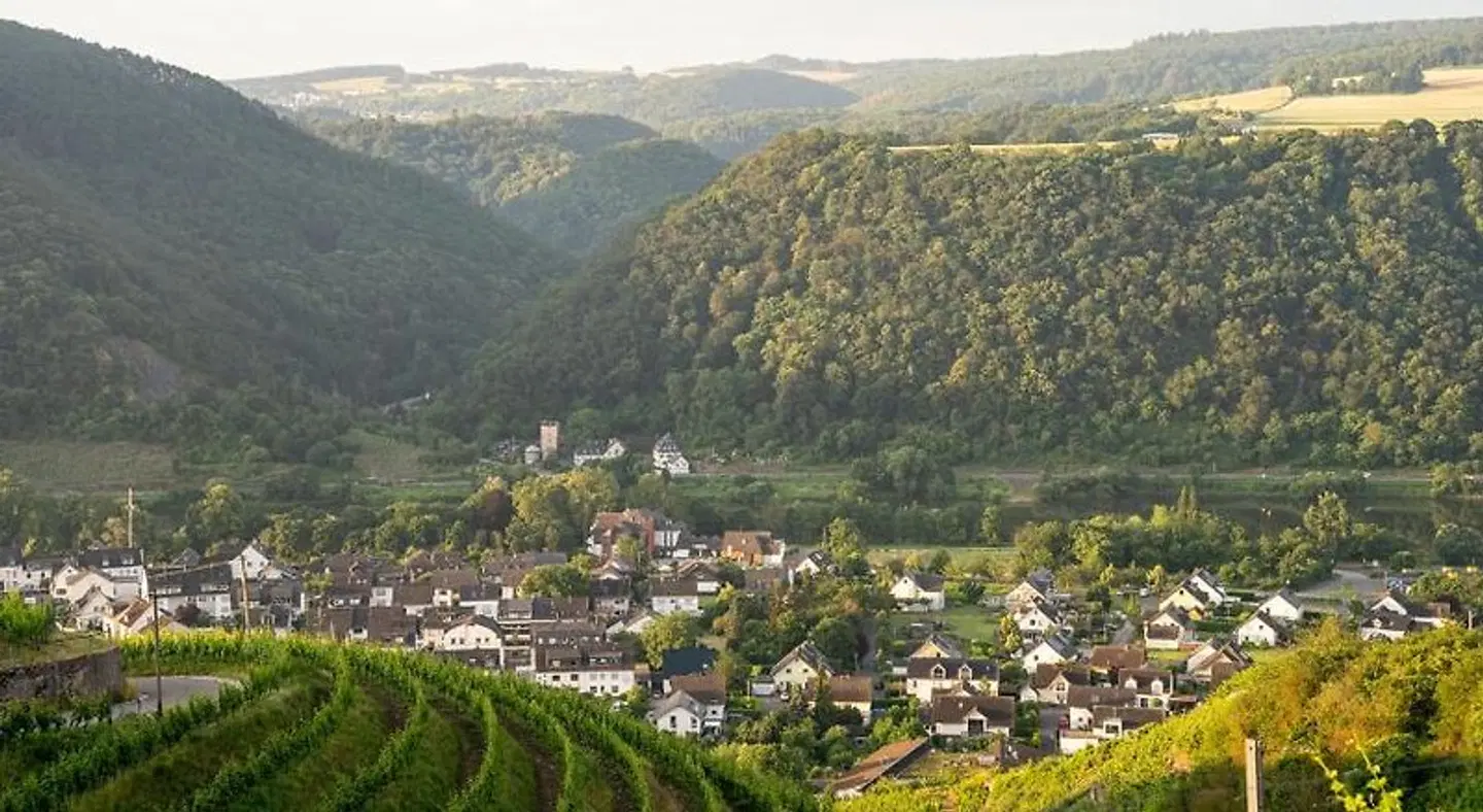 Moselblick LANDSCAPE