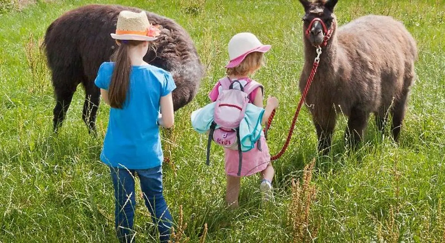 Pension Selbstgemacht Tiere