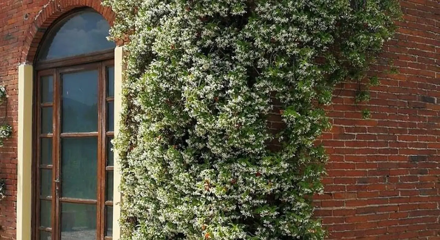 La Fornace del Sole Garten