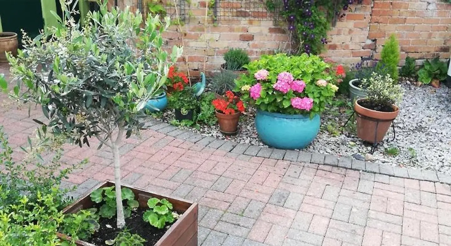 Olive Tree Guest House Garten