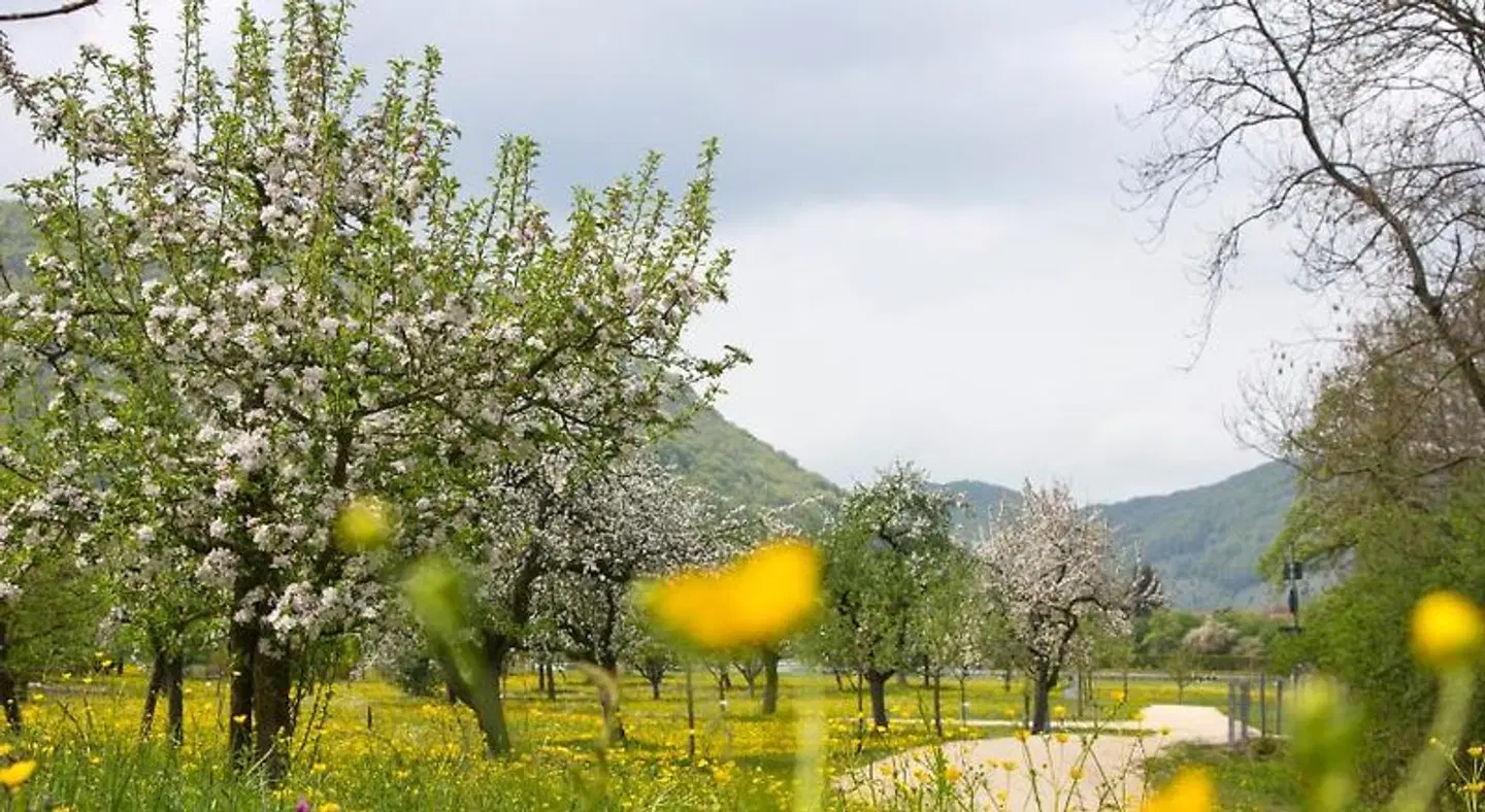 Gasthof Restaurant Hirsch LANDSCAPE