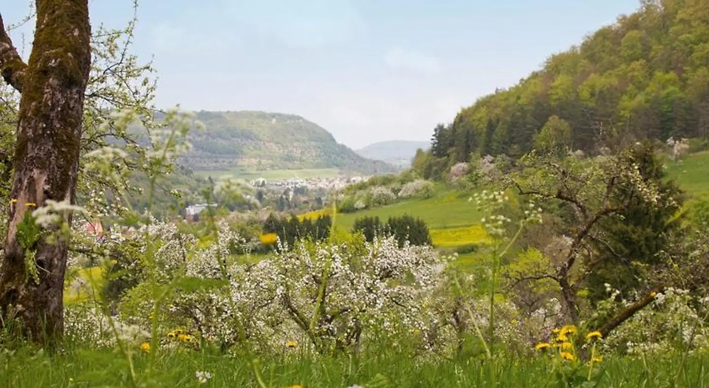 Gasthof Restaurant Hirsch LANDSCAPE