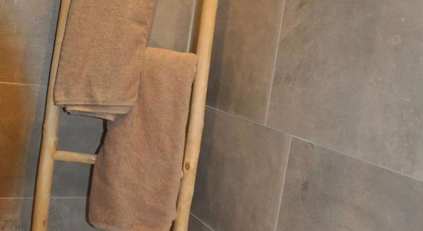 De Slapende Leeuw Badezimmer