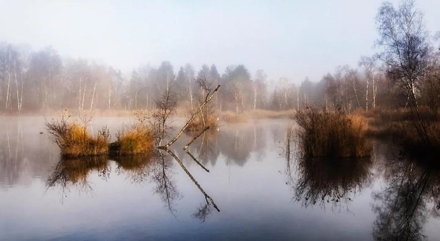 Motel Hohenems LANDSCAPE