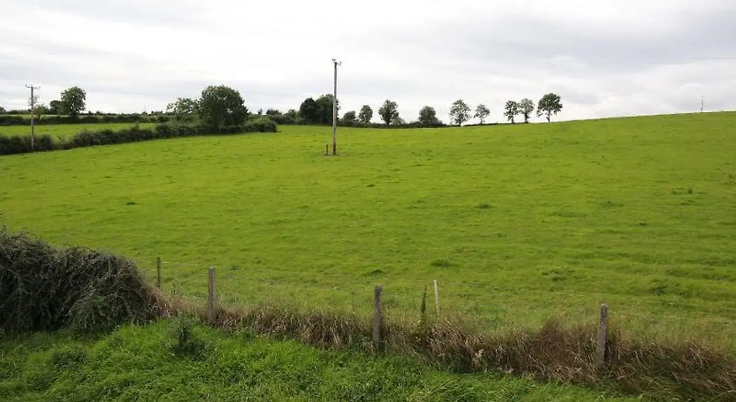 Grangeview House B&B LANDSCAPE
