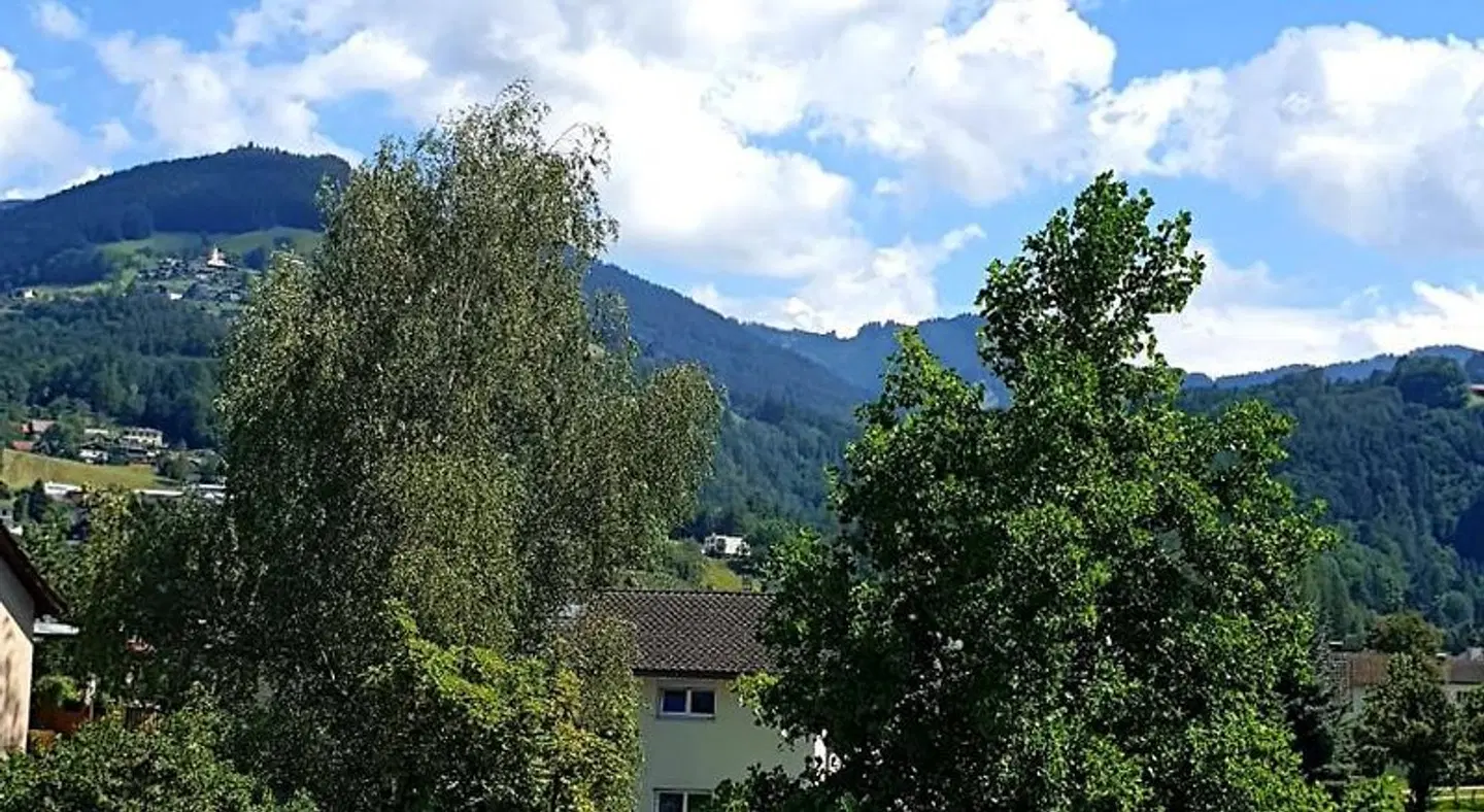 Hotel Löwen LANDSCAPE