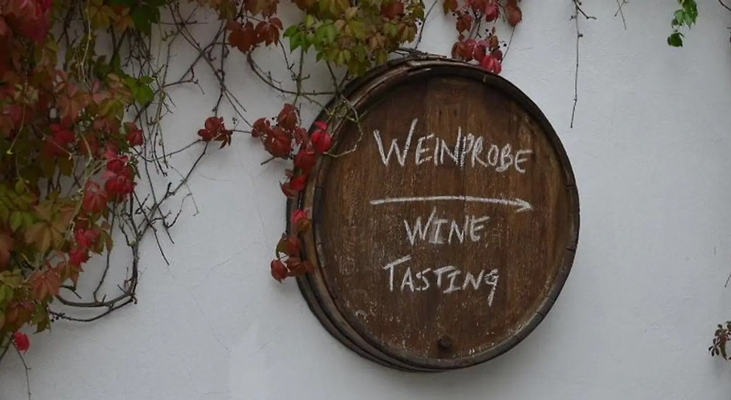 Weingut H. Gindorf und Gästehaus SPORTS_AND_LEISURE