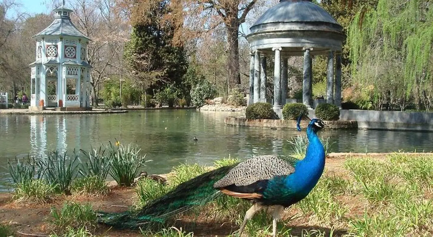 Posada de la Costurera de Aranjuez Garten