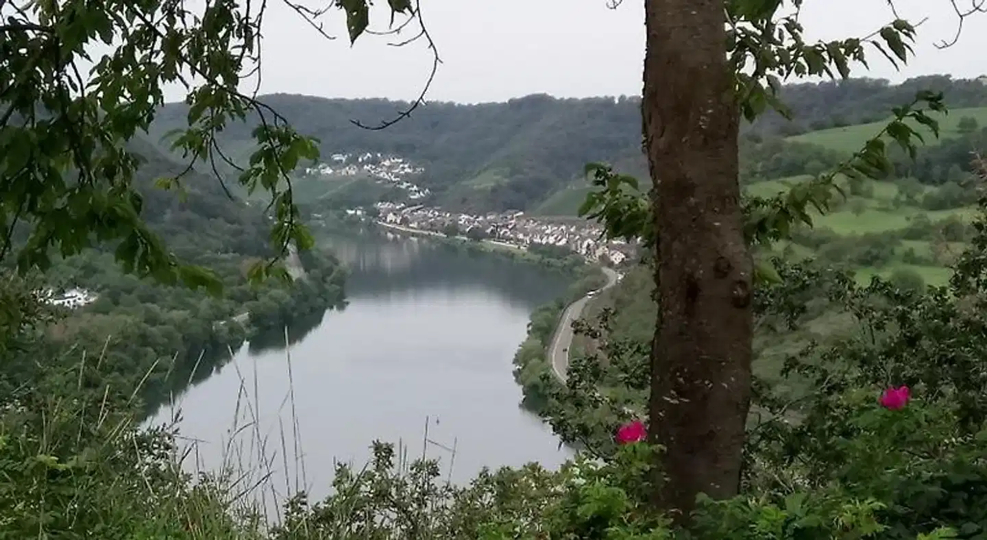 Historischer Winzerverein Boutique B&B Landschaft