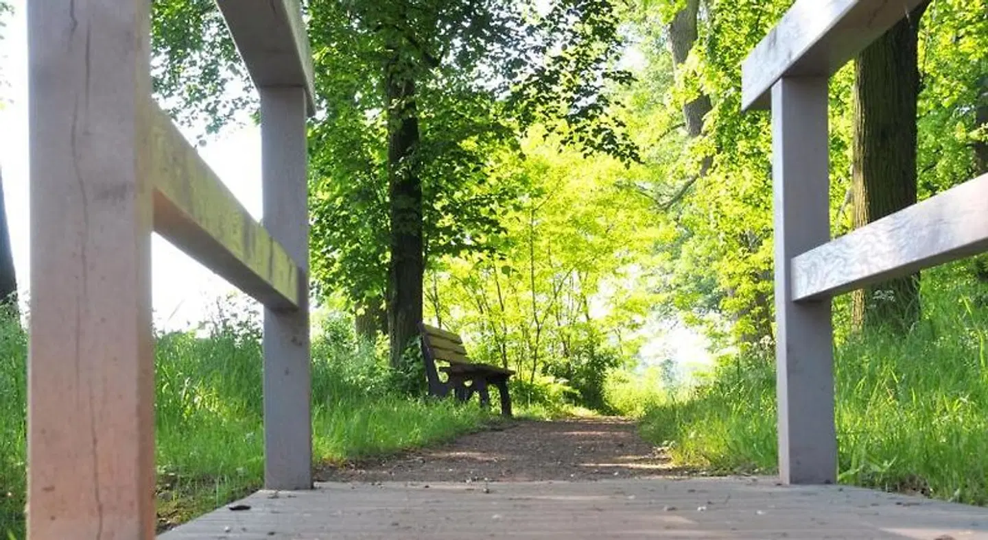 Biohotel Stiftsgut Wilhelmsglücksbrunn LANDSCAPE