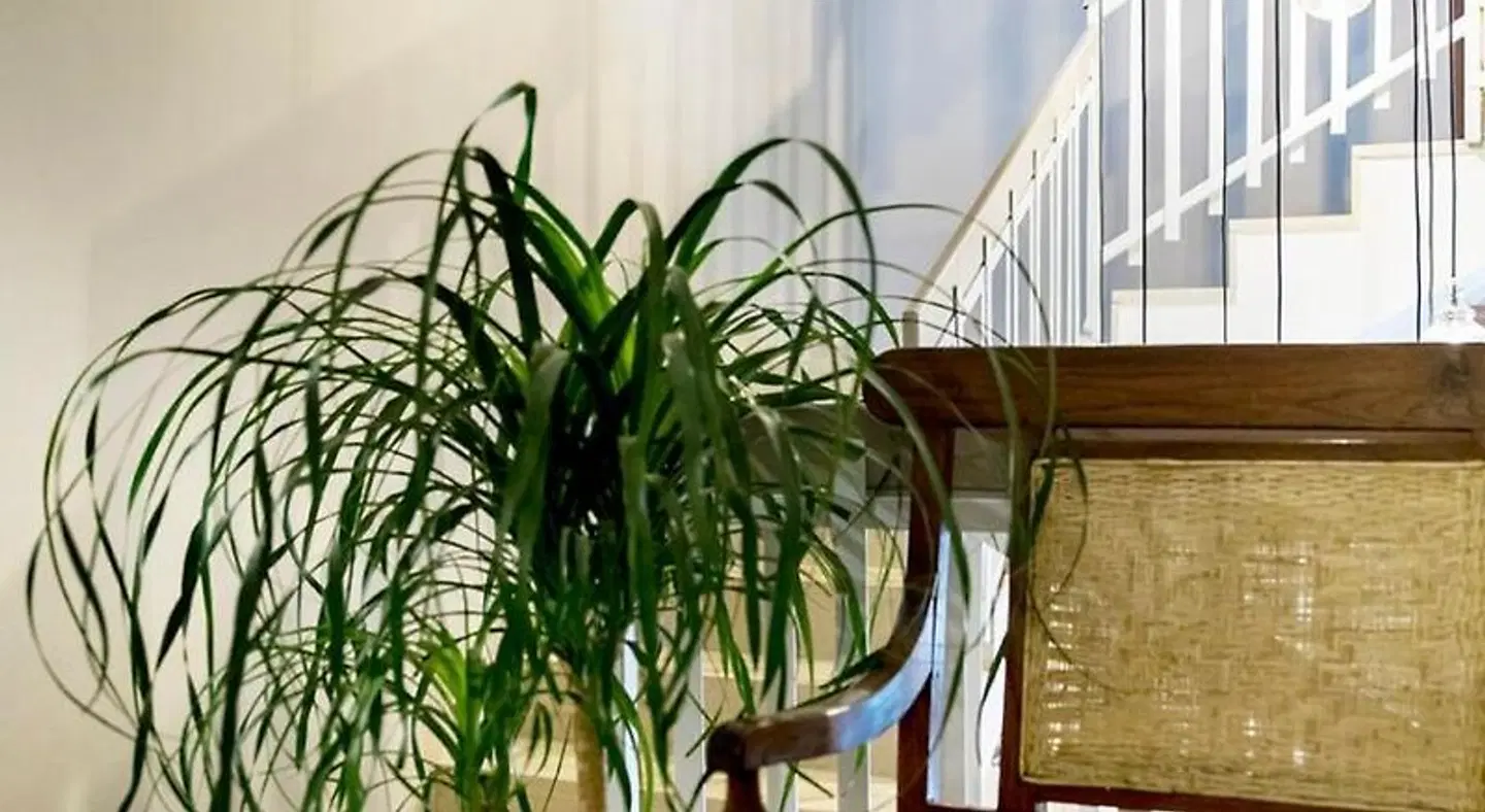Residenza del Borgo LANDSCAPE