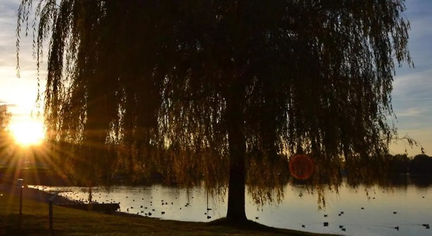 Gästehaus Gritsch LANDSCAPE