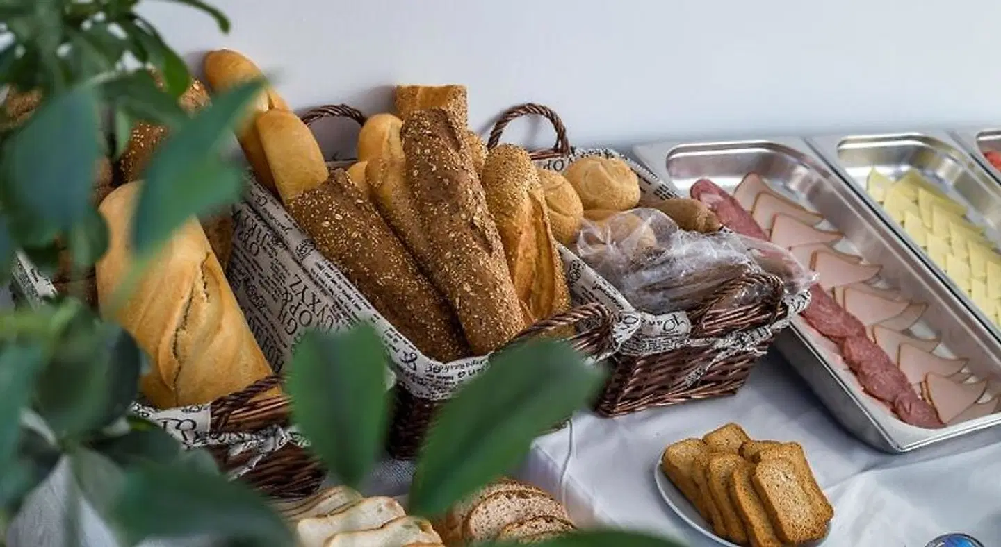 Faliraki Premium Hotel Tiere