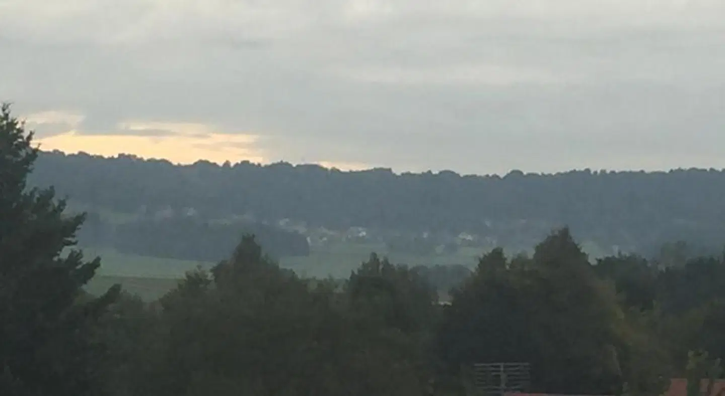 Weißer Lowe LANDSCAPE