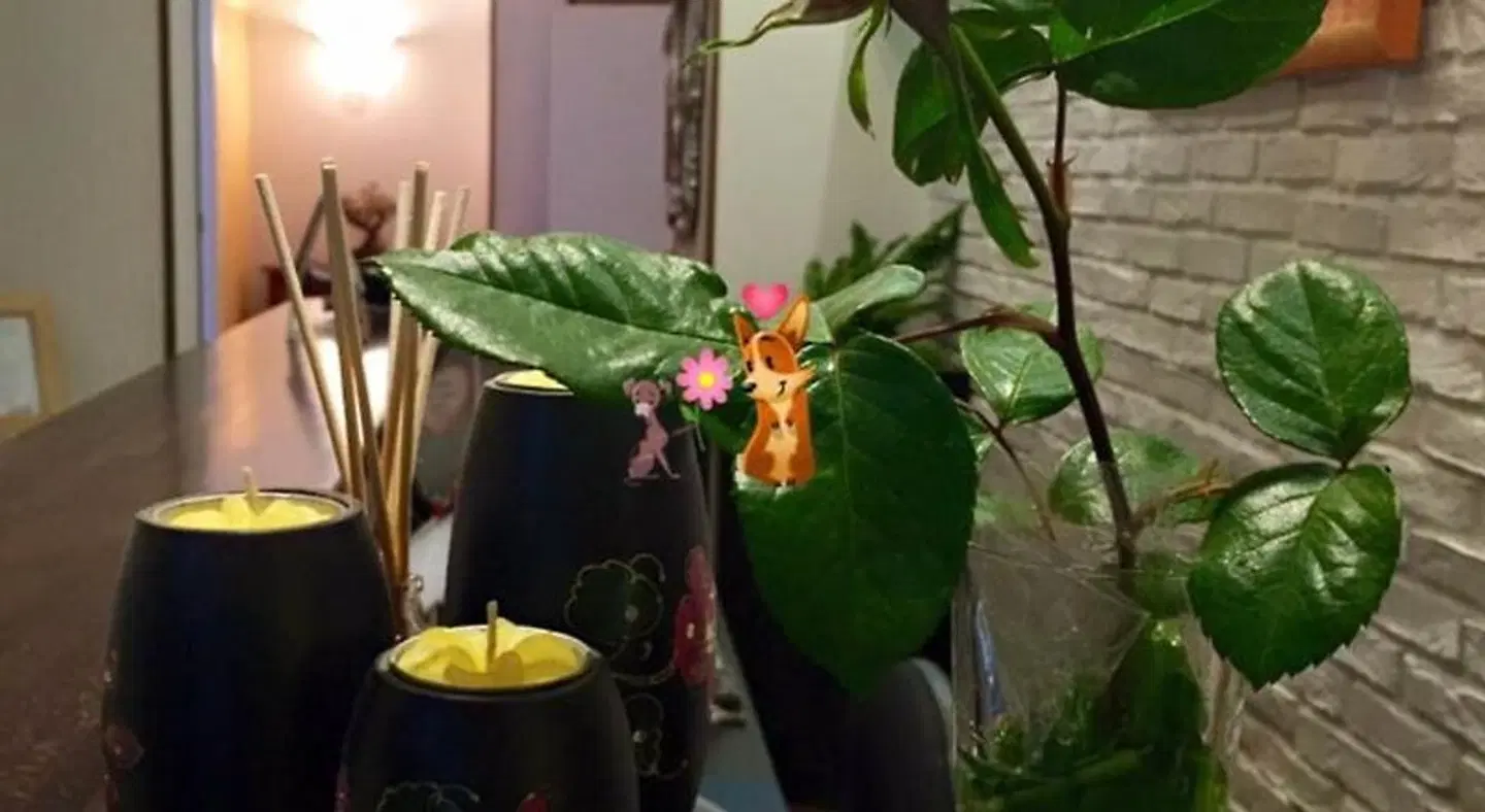 Albergo Elvira Garten