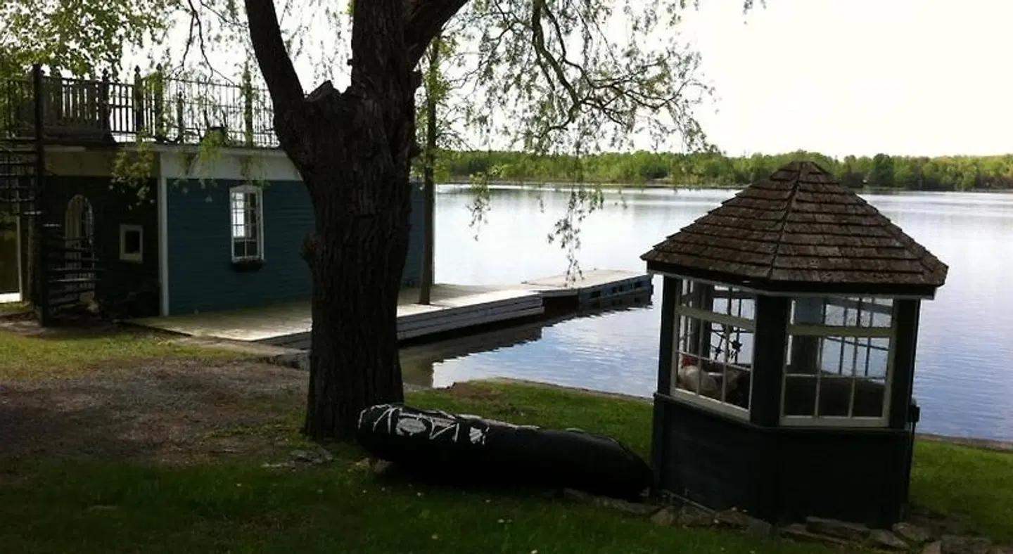 Windswept on the Trent Garten